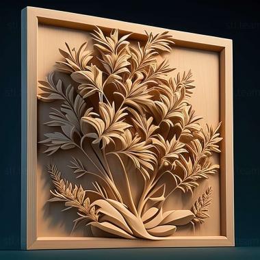 3D model Peckiella podocarpus (STL)